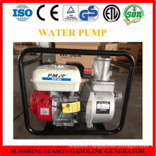 Pmt Water Pump for Agricultural Use with CE (PMT30X)